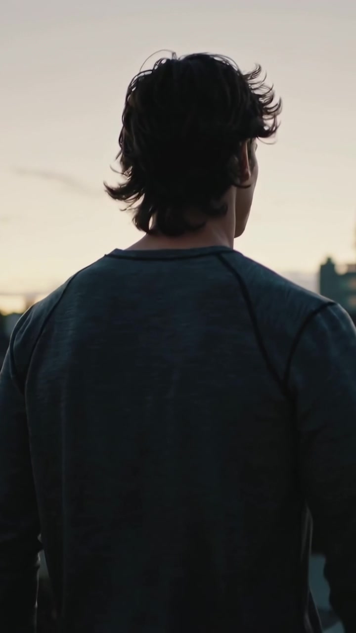 Vertical video: Entering from left man standing at parapet to watch dusk lights, in dark top