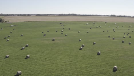 aerial panaramic fly over rise circular bales of hay arranged symetrically over farmland green grassland seperated by small forests on a sunny afternoon clear skys 2-2