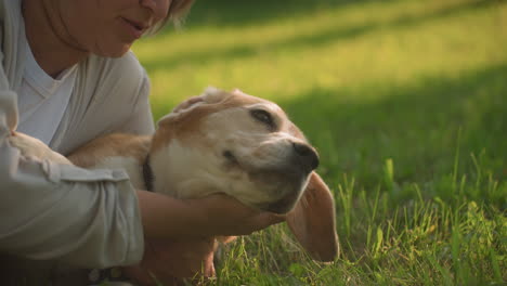 primer plano de una mujer acostada en un campo cubierto de hierba acurrucando amorosamente a su perro mientras comparten un momento tranquilo y relajante juntos, el perro disfrutando de un toque afectuoso bajo la cálida luz del sol, con el fondo borroso