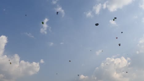 competencia de cometas en el cielo