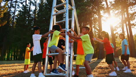 children playing outdoors with a ladder structure in a sunny forest