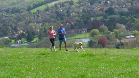 Pareja-Madura,-Con,-Perro,-Jogging,-En,-Campo,-Filmado,-En,-R3d