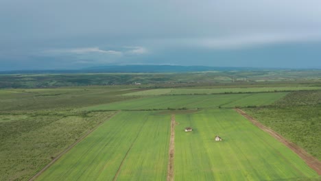 scenic view of a farmhouse isolated on vast green fields at countryside. - aerial wide shot