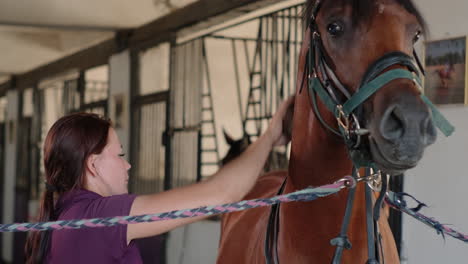 woman grooming a horse in a stable