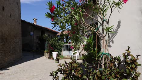mural vibrante y plantas en el pueblo italiano