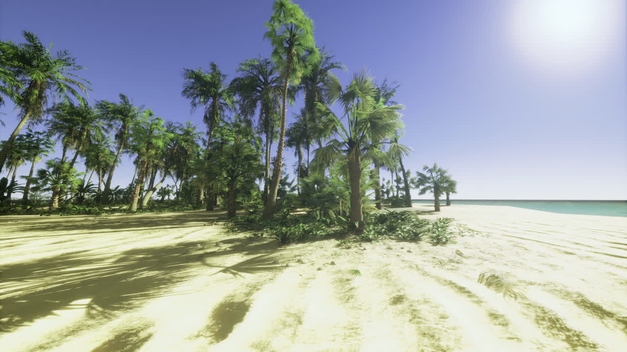 Idyllic tropical beach with palm trees and clear blue sky near the ocean