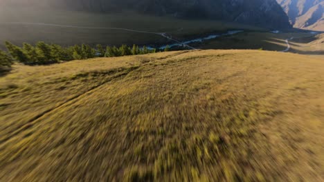 fpv sports drone shot flight dry yellow grass field hilly terrain sunny landscape