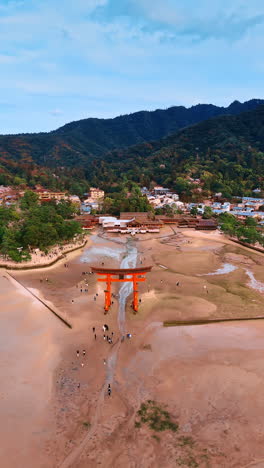 iconic grand torii gate on the sandy shore revealed at low tide. multiple tourists walk around the landmark. aerial perspective on the island of miyajima, japan. vertical video.