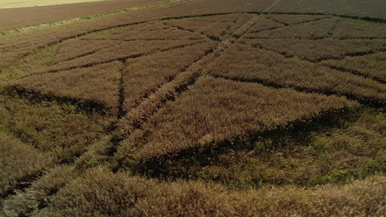 extraño campo de trigo crop circle tierras de cultivo vandalismo antena cerrar girar derecho ver stanton st bernard wiltshite