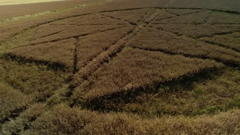 strange wheat field crop circle farmland vandalism aerial close rotate right view stanton st bernard wiltshite