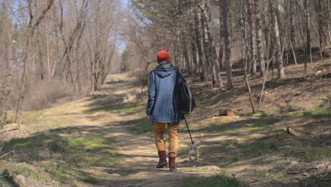 an unrecognizable young woman takes a walk with her dog in the forest