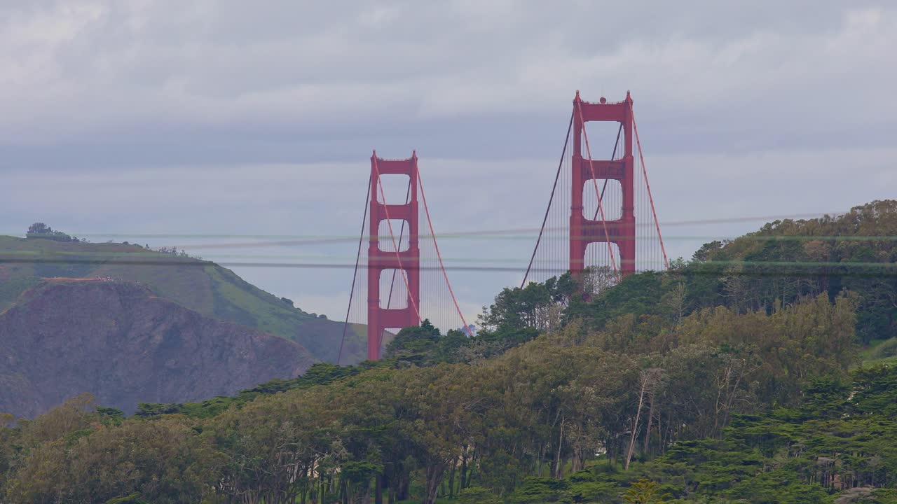 샌프란시스코의 골든게이트 다리 (golden gate bridge) 는 미국 캘리포니아의 나무 꼭대기 위에 있다.