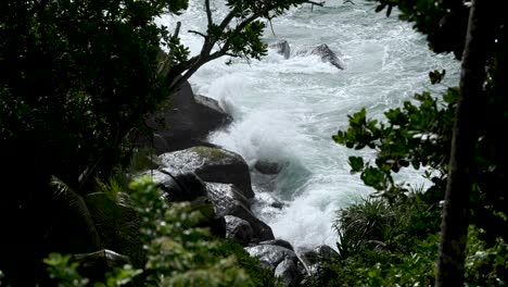 powerful waves crashing onto rugged coastal rocks, framed by vibrant green vegetation and trees, showcasing the beauty of nature's force