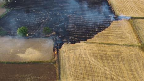 Aerial-drone-shot-of-Stubble-burning-of-left-overs-from-wheat-field-harvest-causing-smog-and-heavy-air-pollution-in-north-india