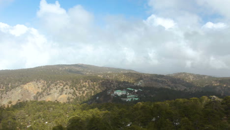 volando a través de los árboles en la montaña troodos en chipre