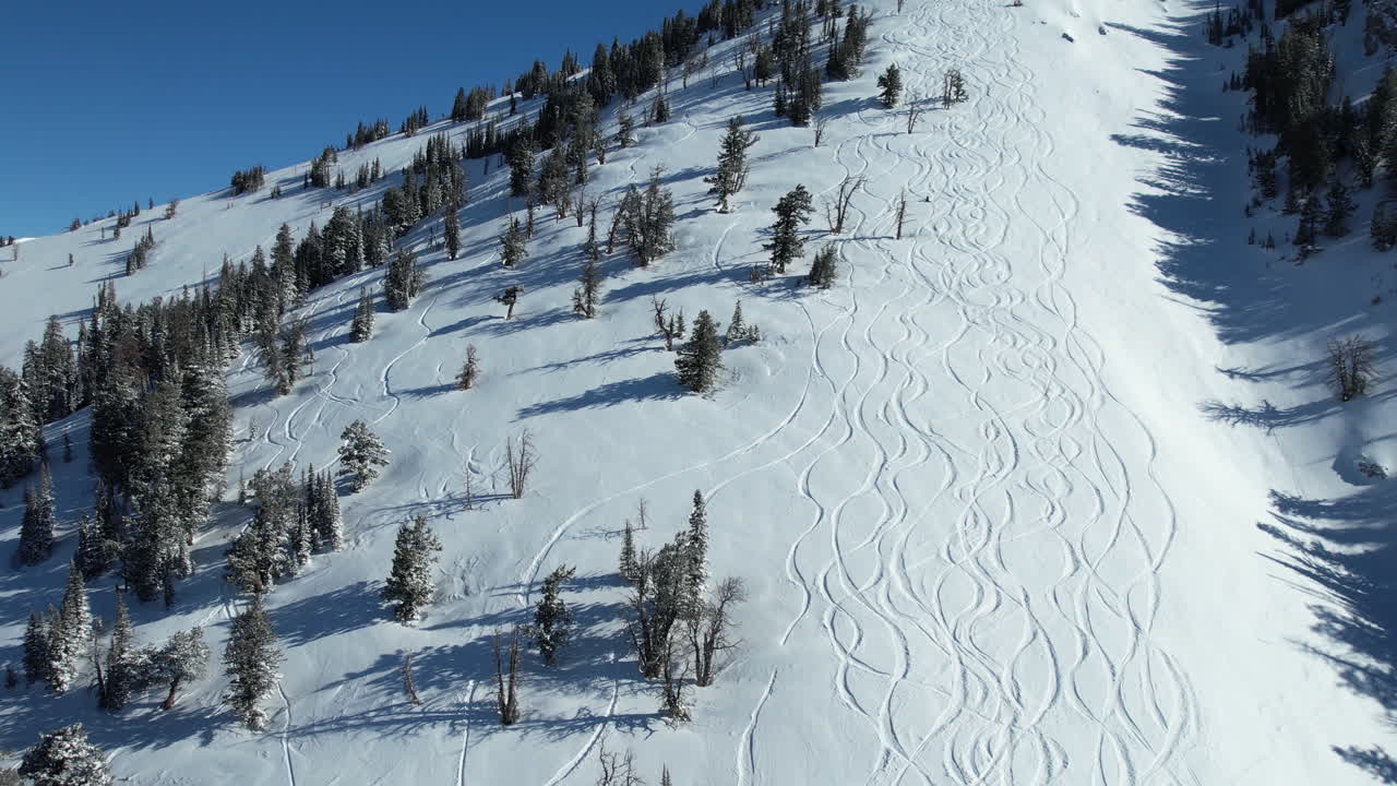 vista aérea de pistas de snowboard y pinos en la ladera de la montaña en un día soleado de invierno
