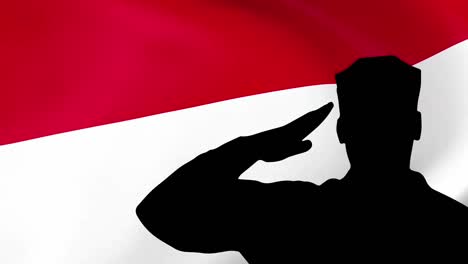 saludando a un soldado del ejército frente a indonesia o a la bandera en el día de la república.