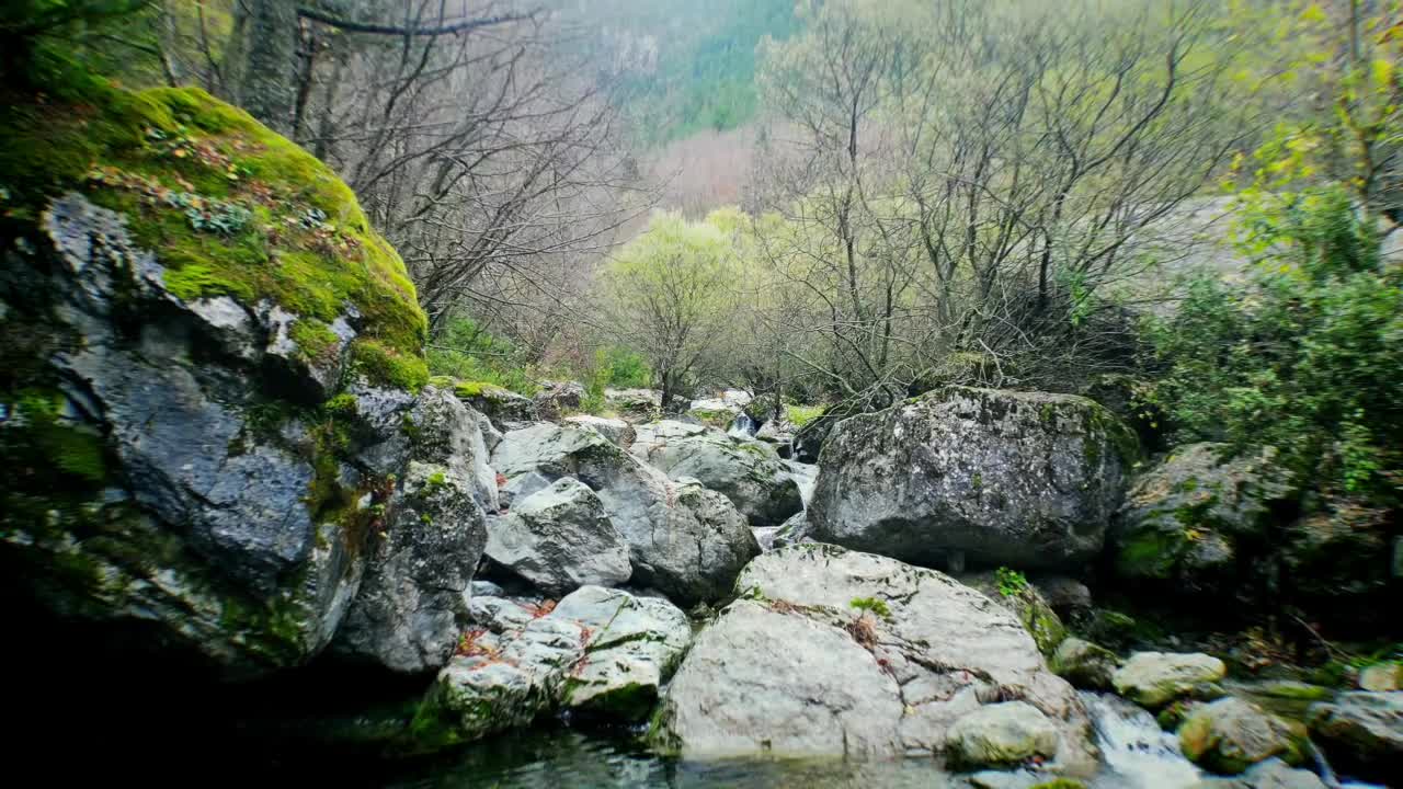 Low drone flight backward over flowing river with small waterfalls in Mount Olympus National Park, Greece, surrounded by trees and branches, capturing peaceful forest river scene