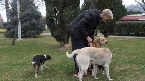 Youth-Play-With-Stray-Dog