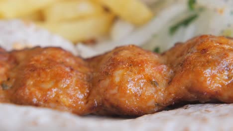 delicious grilled chicken kebab with fries