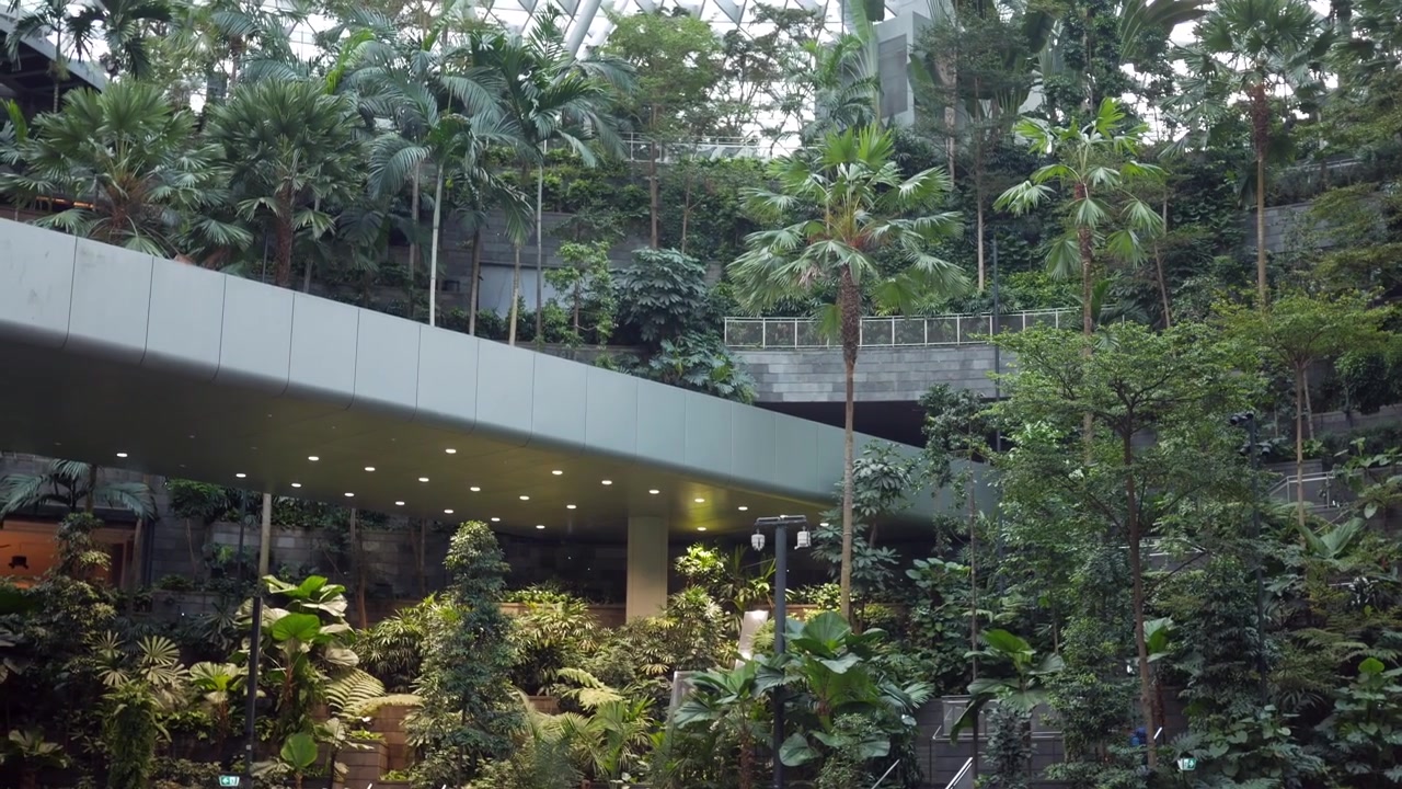 Lussureggiante giardino tropicale interno con architettura moderna all'aeroporto di Changi