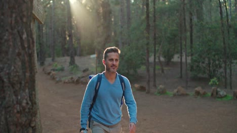 male hiker walking in forest