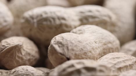 pila giratoria de cacahuetes crudos con conchas