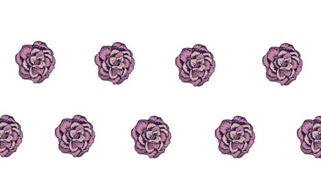 Composition-of-rows-of-pink-flowers-moving-on-white-background