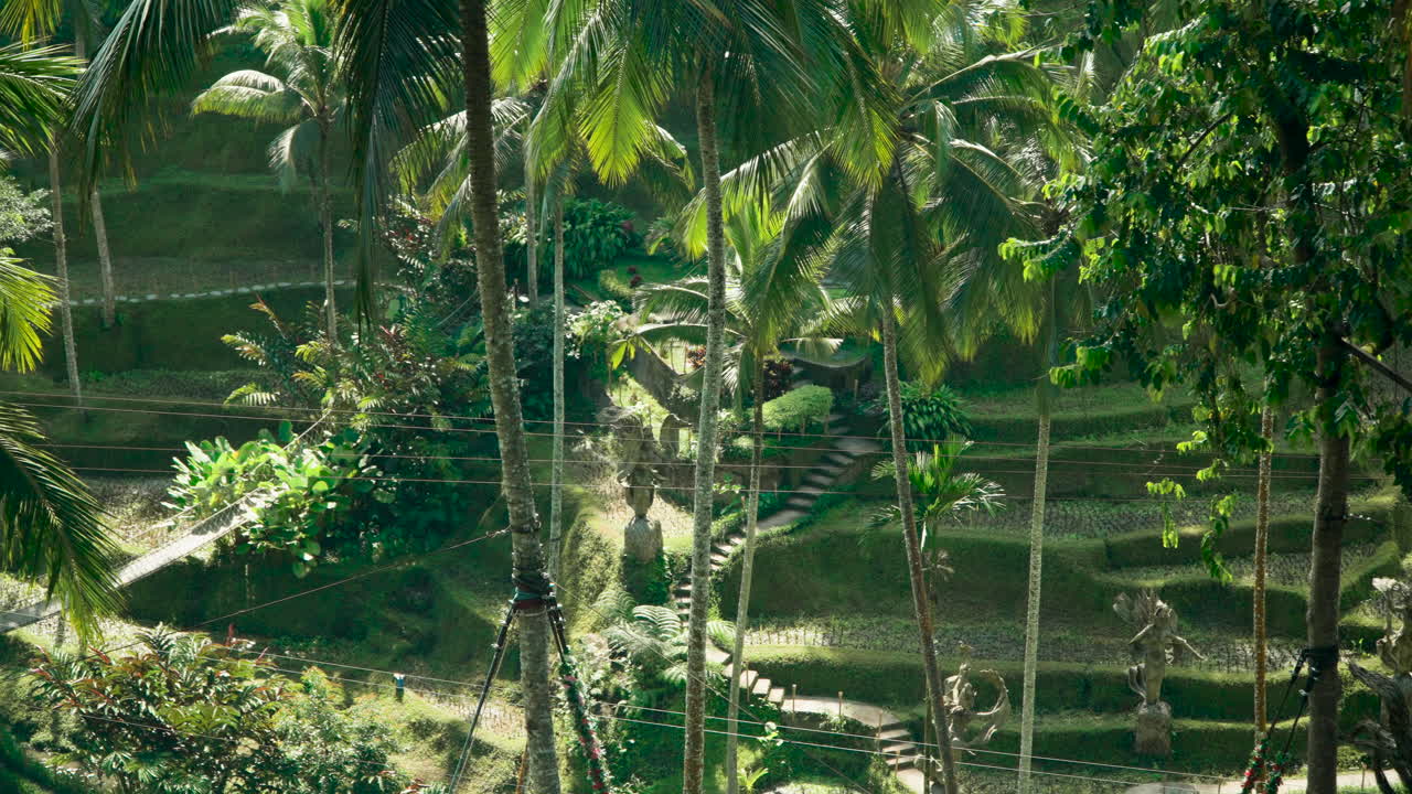 campos de arroz en terrazas y palmeras con esculturas ornamentadas en alas harum bali en tegallalang, indonesia