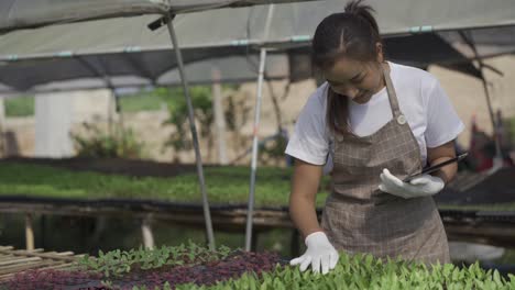 smart farm concept and farm technology a smart asian girl uses a tablet to check the quality and quantity of the organic vegetable garden at the garden houses.