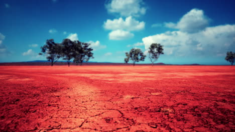 cracked-ground-dry-land-during-the-dry-season