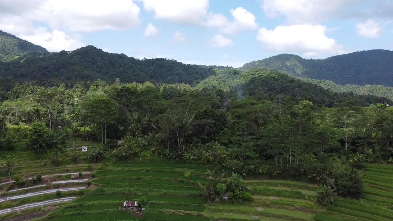 Aerial drone footage glides over the lush green Jatiluwih Rice Terraces in Tabanan, Bali, showcasing sweeping layered paddies, tropical trees, and serene mountain backdrops in this UNESCO landscape