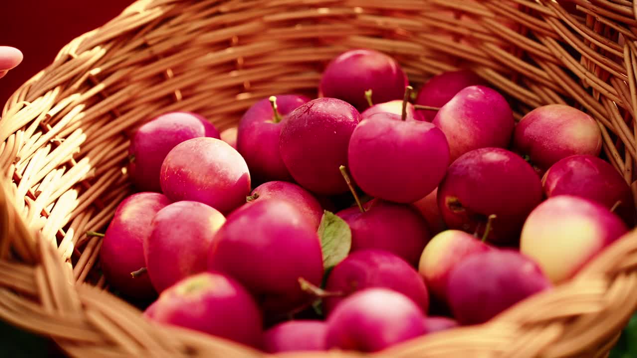 A Bountiful Basket of Fresh, Juicy Apples Ready for Harvesting and Enjoying the Delicious Sweetness and Vibrant Flavors of Nature's Perfect Fruit Collection