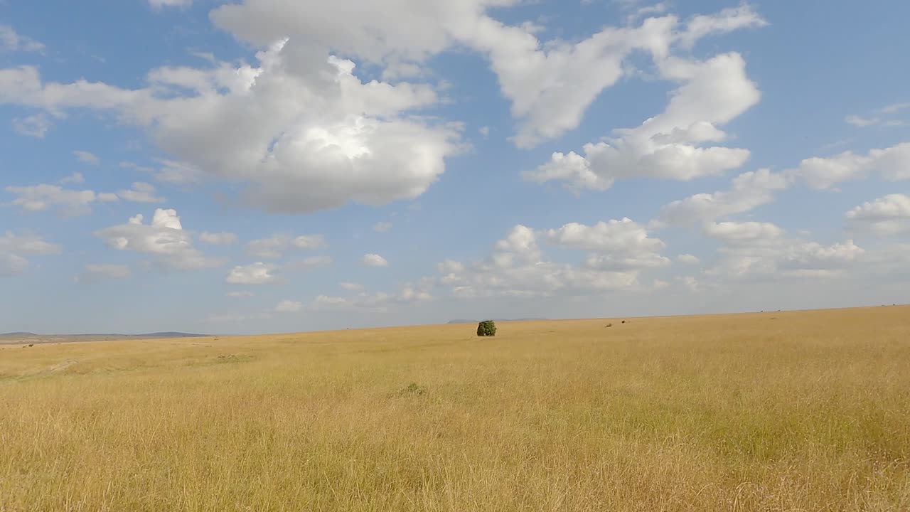 Panorama Of Vast Grassland In Maasai Mara National Reserve In Narok, Kenya