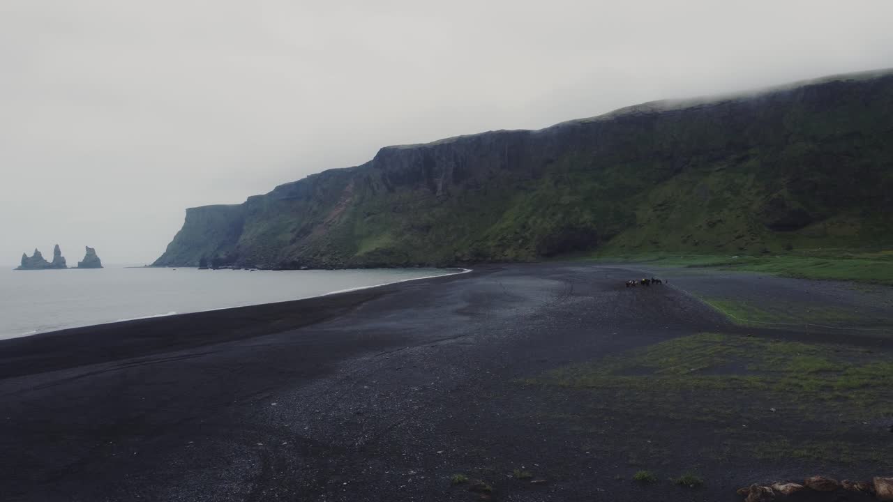 toma aérea en órbita de drones de hermosas olas azules rompiendo en una playa de arena negra en islandia con un grupo de caballos islandeses y enormes formaciones rocosas en la distancia