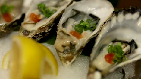close-up of oysters with lemon and garnish