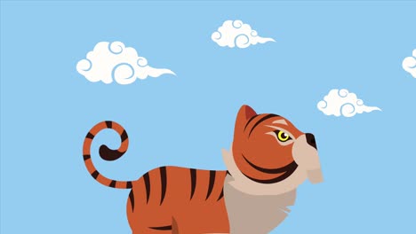 chinese new year tiger and clouds