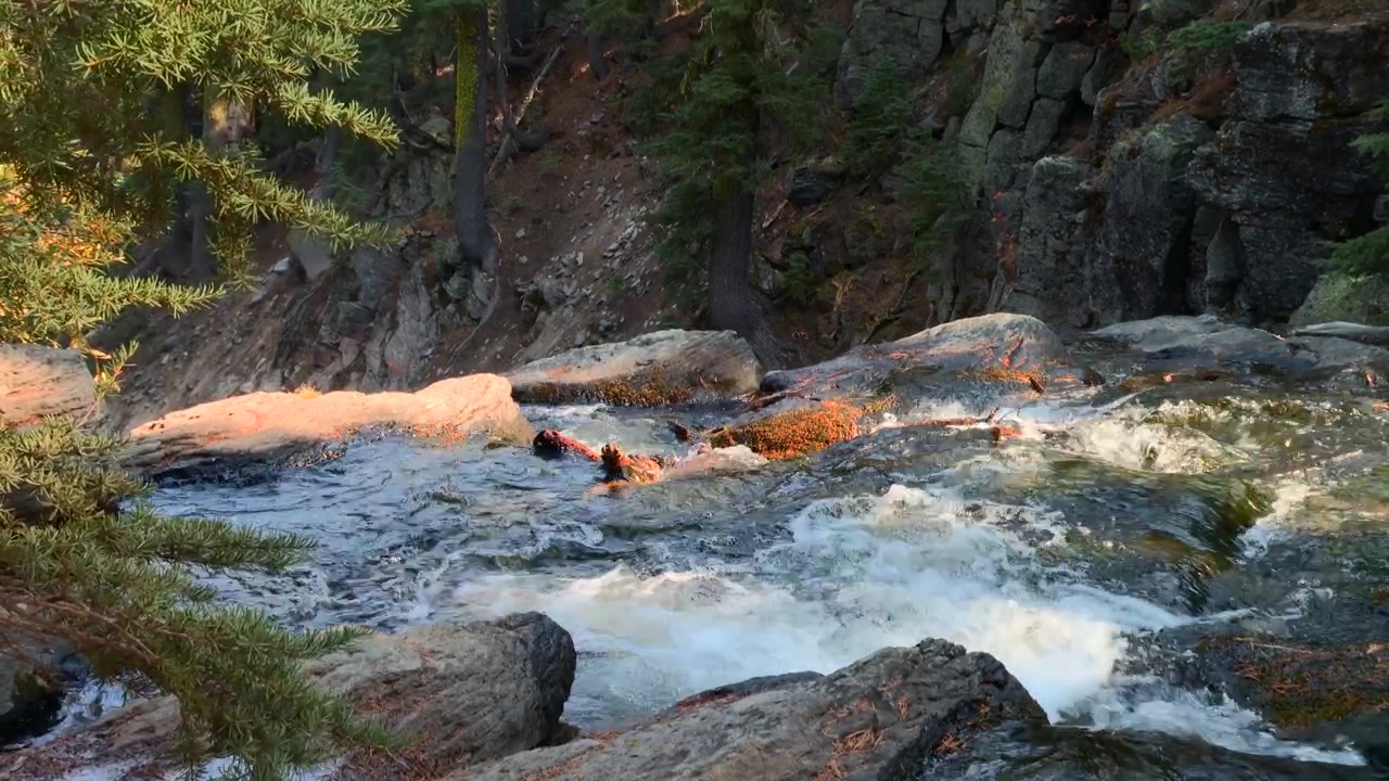 Ruscello di montagna che scorre impetuoso su cascate rocciose attraverso una foresta di conifere nel Parco Nazionale Vulcanico di Lassen, California settentrionale, USA. Inquadratura statica ravvicinata di un paesaggio selvaggio e suggestivo.