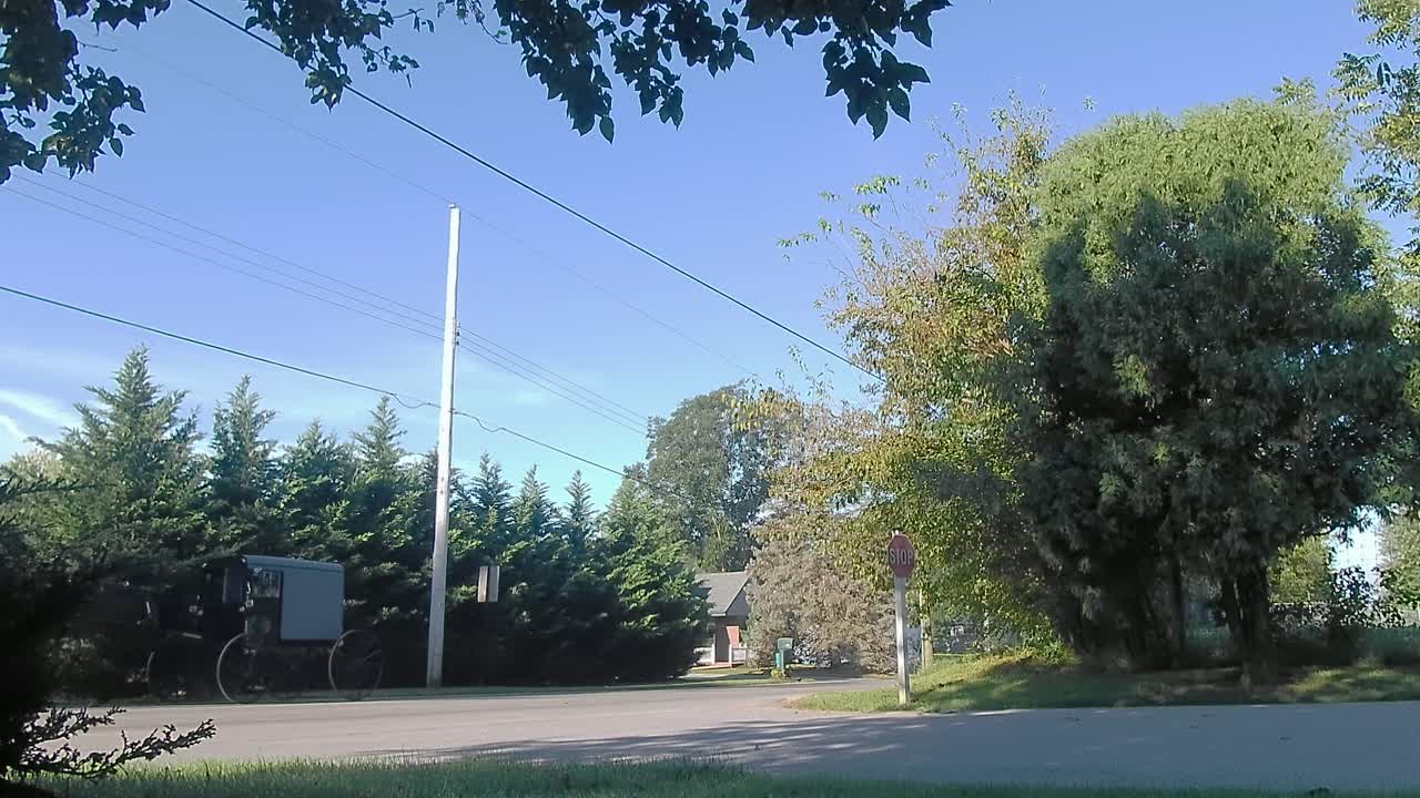 길을 따라 내려가는 아미쉬 말과 마차