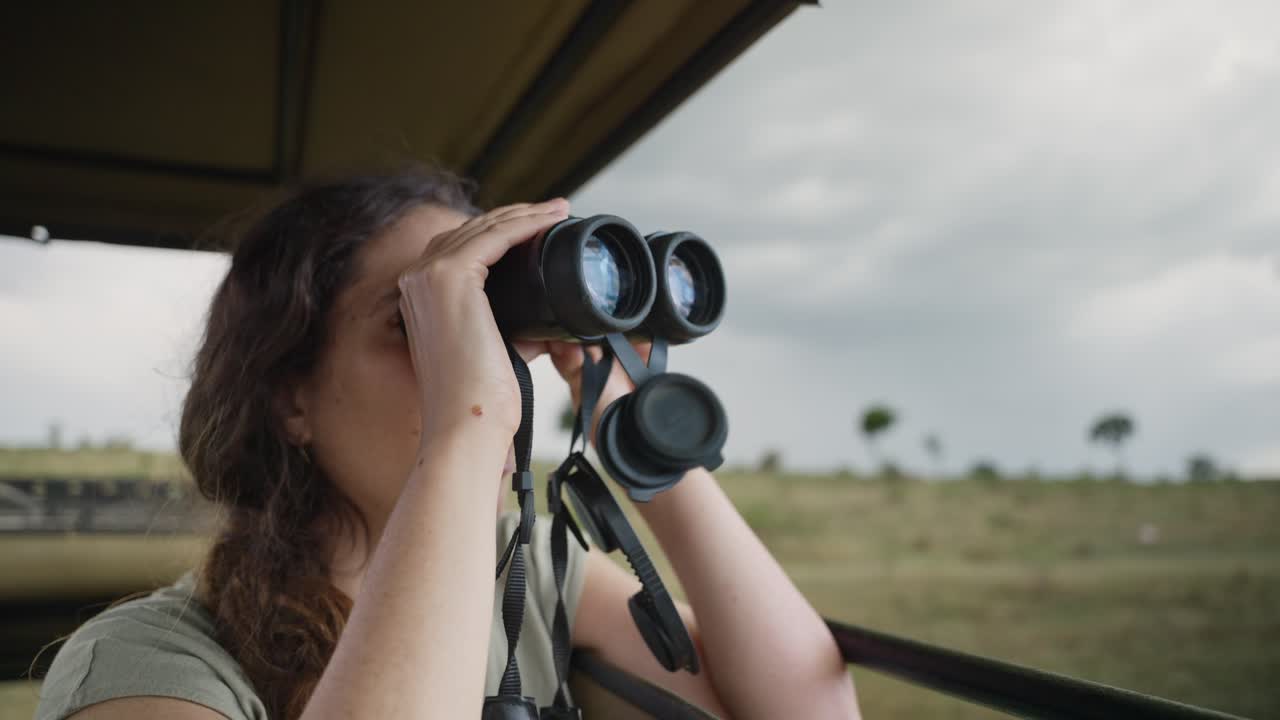 Female Safari tourist looking through binoculars standing inside 4x4 vehicle. Woman traveling in Serengeti National Park in Tanzania in Africa is excited searching for animal in the wild safari