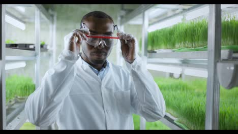 scientist working in a vertical hydroponic farm