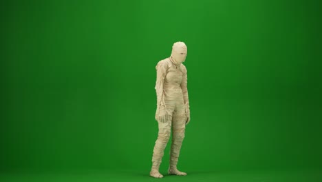 green screen isolated chroma key half turn video capturing a mummy staggering on a place mock up green screen isolated chroma key half turn video capturing a mummy staggering on a place mock up workspace for your promotion clip or advertisement medium size halloween holidays