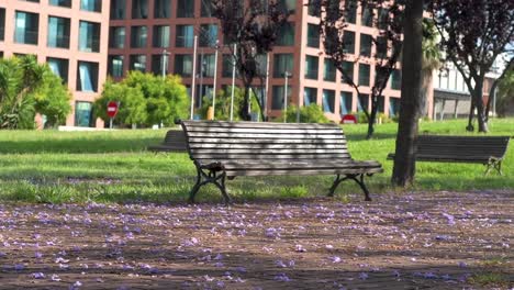 view of empty bench in the park with flowers on the ground