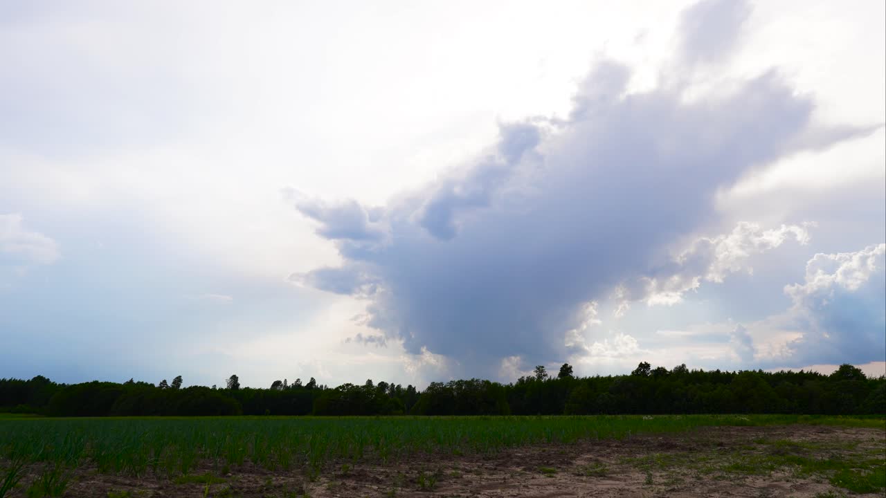 Timelapse of dark storm cloud over forest getting smaller in bright sky, Latvia
