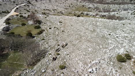 Wildpferde-Gehen-Auf-Berg,-Sveti-Jure,-Naturpark-Biokovo,-Kroatien