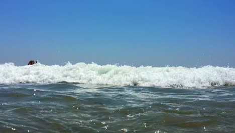 ocean water waves hitting the camera