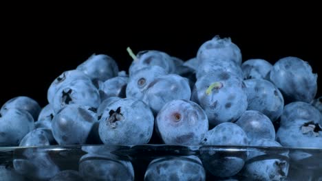 fresh blueberries in in glassware on black background. close-up, camera rotation 360 degrees. bog bilberry, bog blueberry, northern bilberry or western blueberry (vaccinium uliginosum)