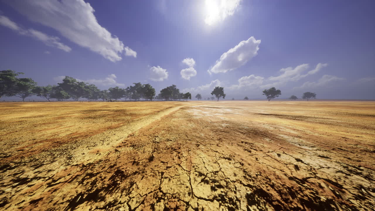 Bright sun shines on a dry landscape with sparse trees and blue skies