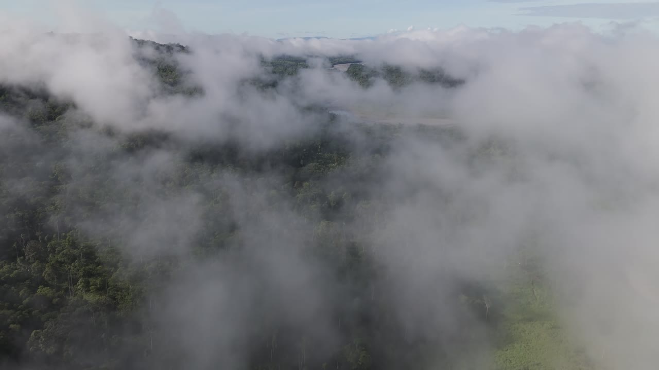 에도르 정글 을 가로질러 흐르는 파스타사 강 의 공중 사진, 남아메리카