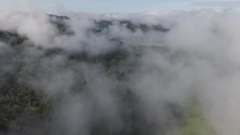 aerial view of pastaza river flowing through ecuadorian jungle, south america